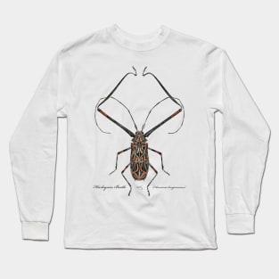 Harlequin Beetle - 2 Long Sleeve T-Shirt